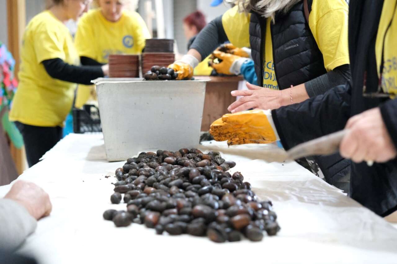 Bodrum’da Orman Haftası Etkinliği: Çocuklara Doğa Bilinci Aşılandı 1